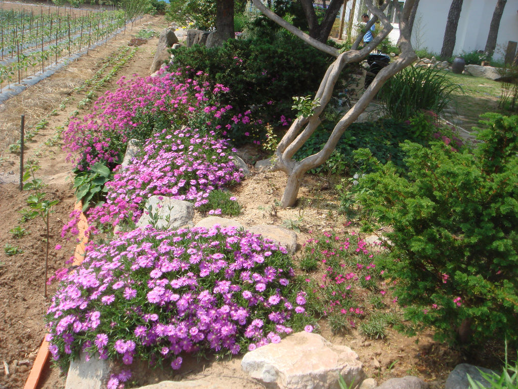090715_solfragrance093432(1).jpg