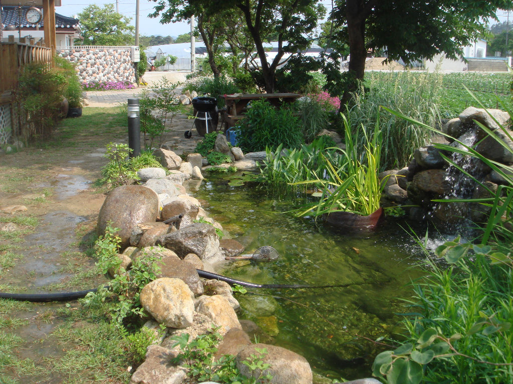 090715_solfragrance093432(9).jpg