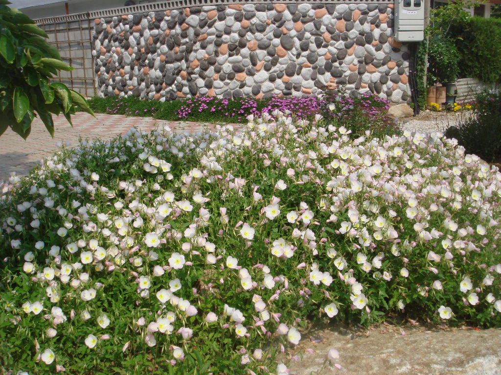 090715_solfragrance093432.jpg