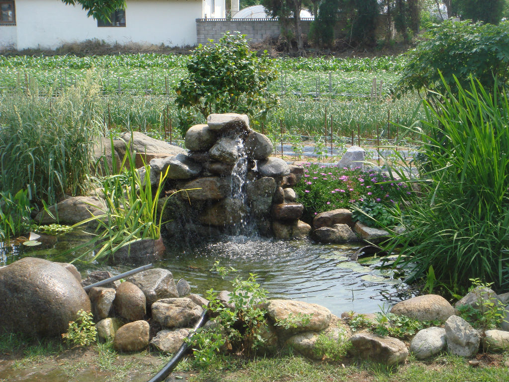 090715_solfragrance094226.jpg