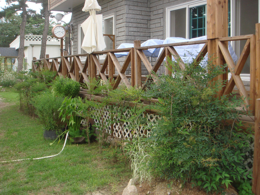 090730_solfragrance091249(2).jpg