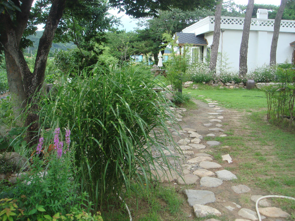 090730_solfragrance091249(3).jpg