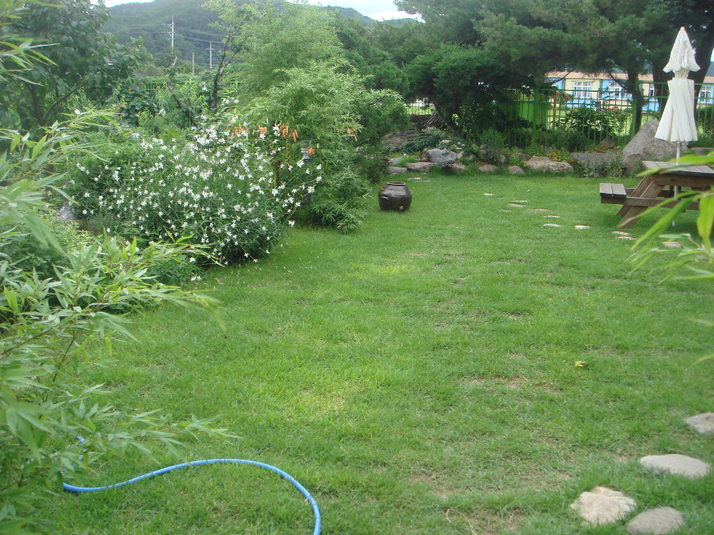 090730_solfragrance091249(9).jpg