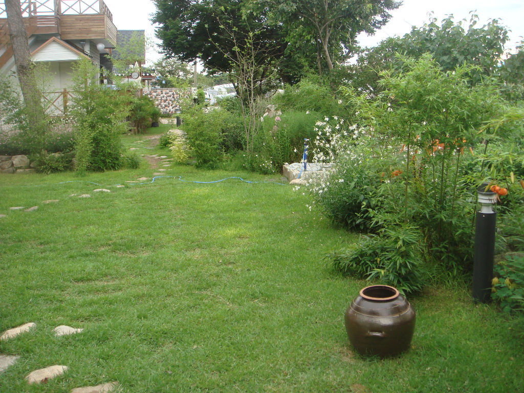 090730_solfragrance091718.jpg