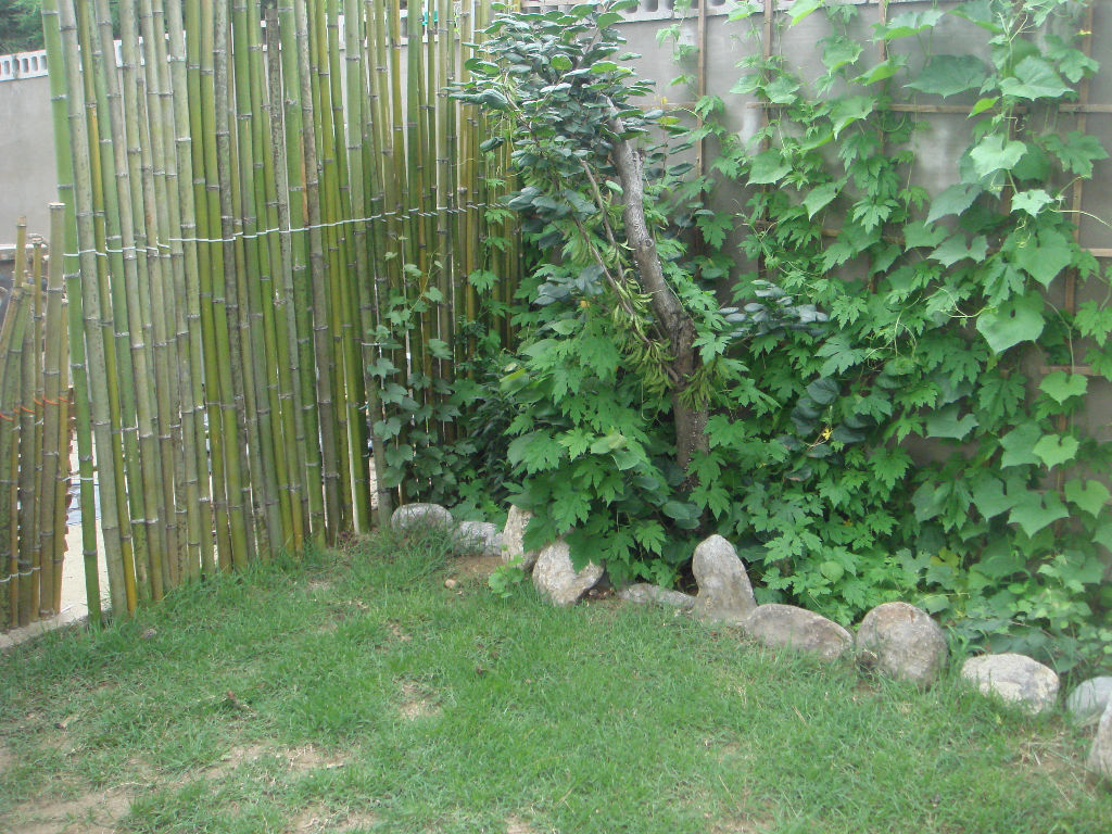 090730_solfragrance092020(9).jpg