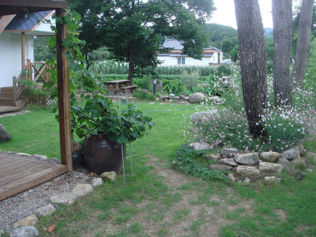 090730_solfragrance092332(2).jpg