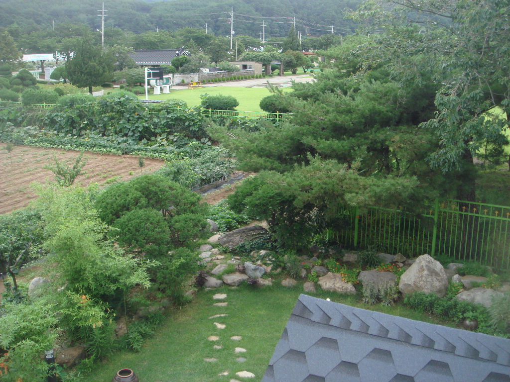 090730_solfragrance092332(3).jpg