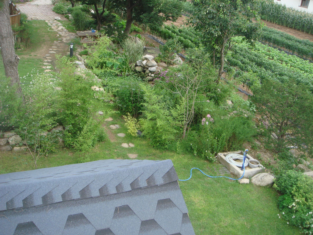 090730_solfragrance092332(5).jpg