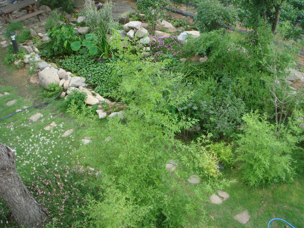 090730_solfragrance092332(7).jpg