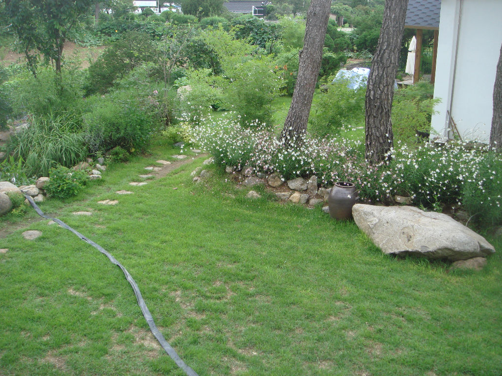 090730_solfragrance092332(9).jpg
