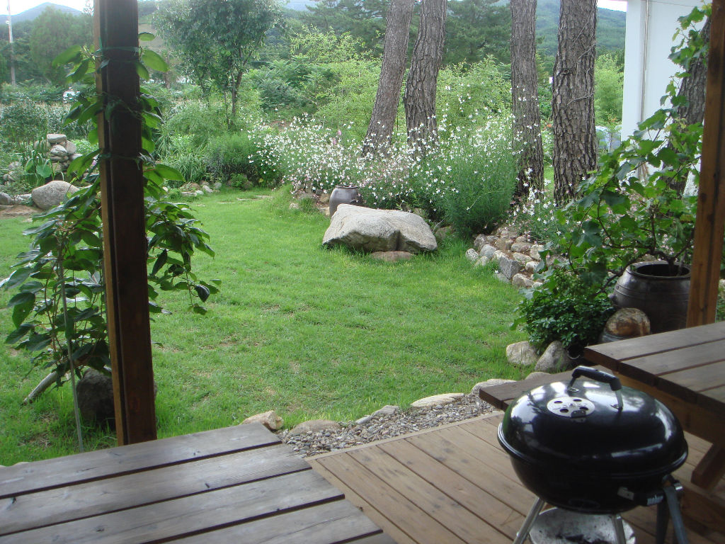 090730_solfragrance092721(2).jpg