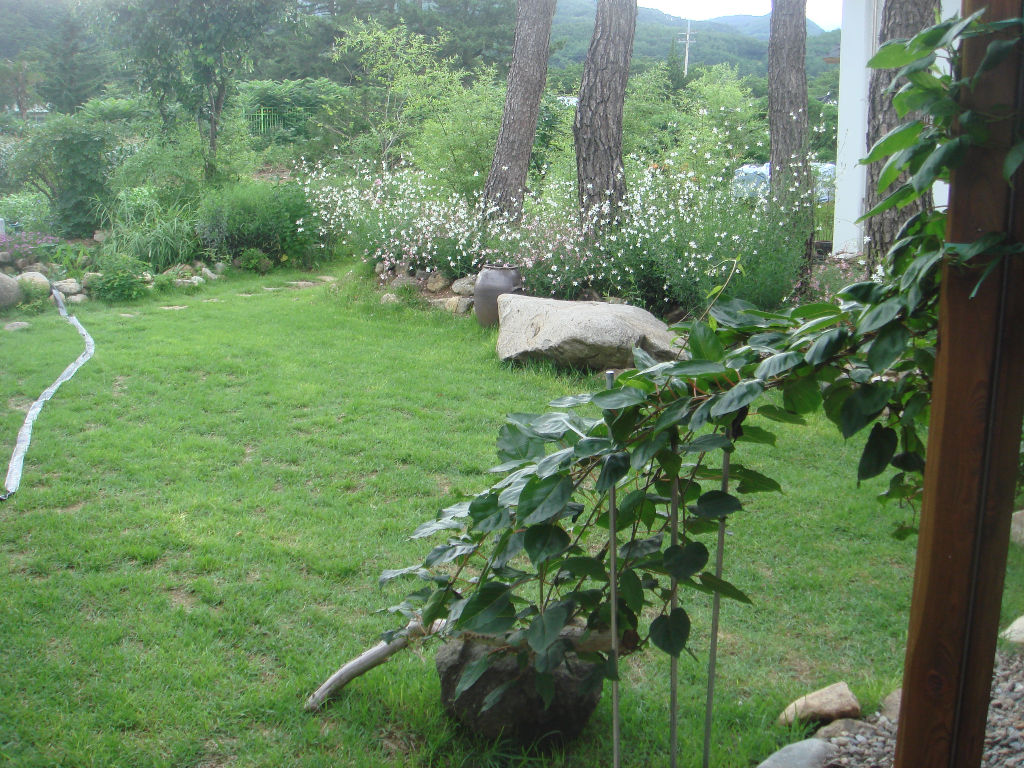 090730_solfragrance092721(3).jpg