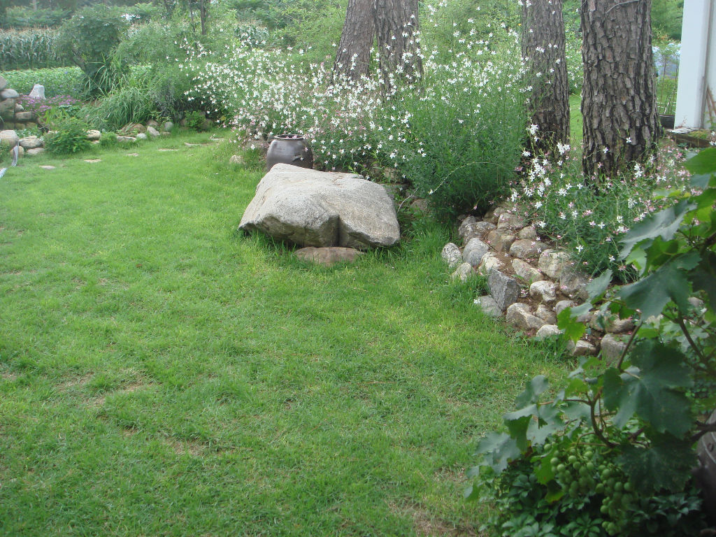 090730_solfragrance093139(9).jpg