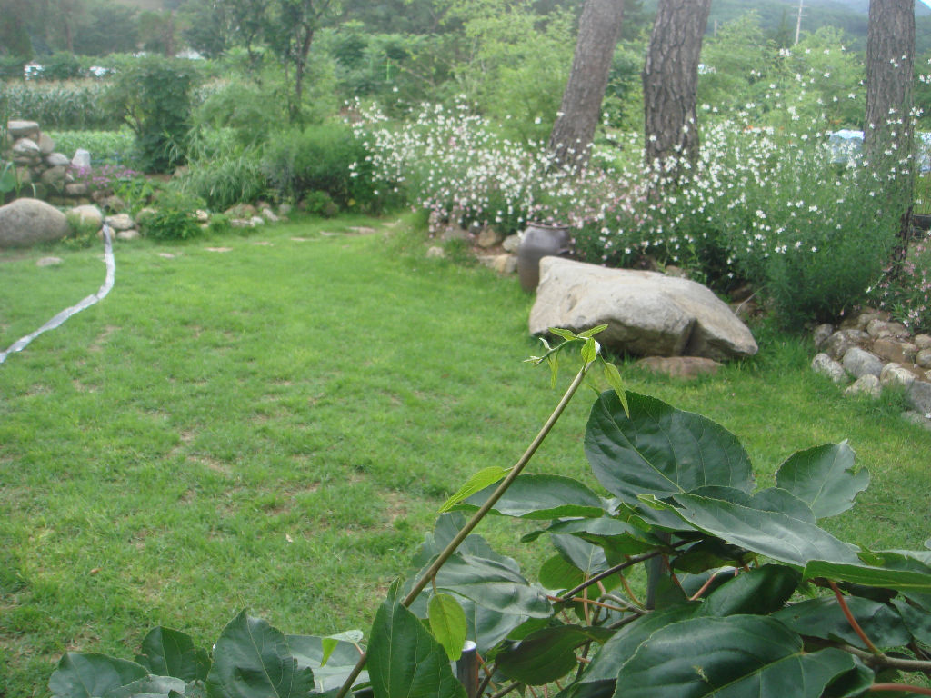 090730_solfragrance093139.jpg